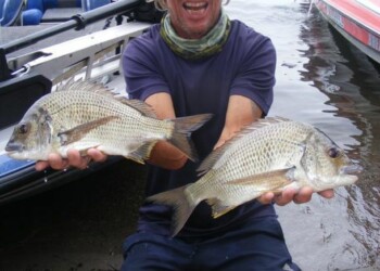 Record entries at BETS Lake Macquarie round